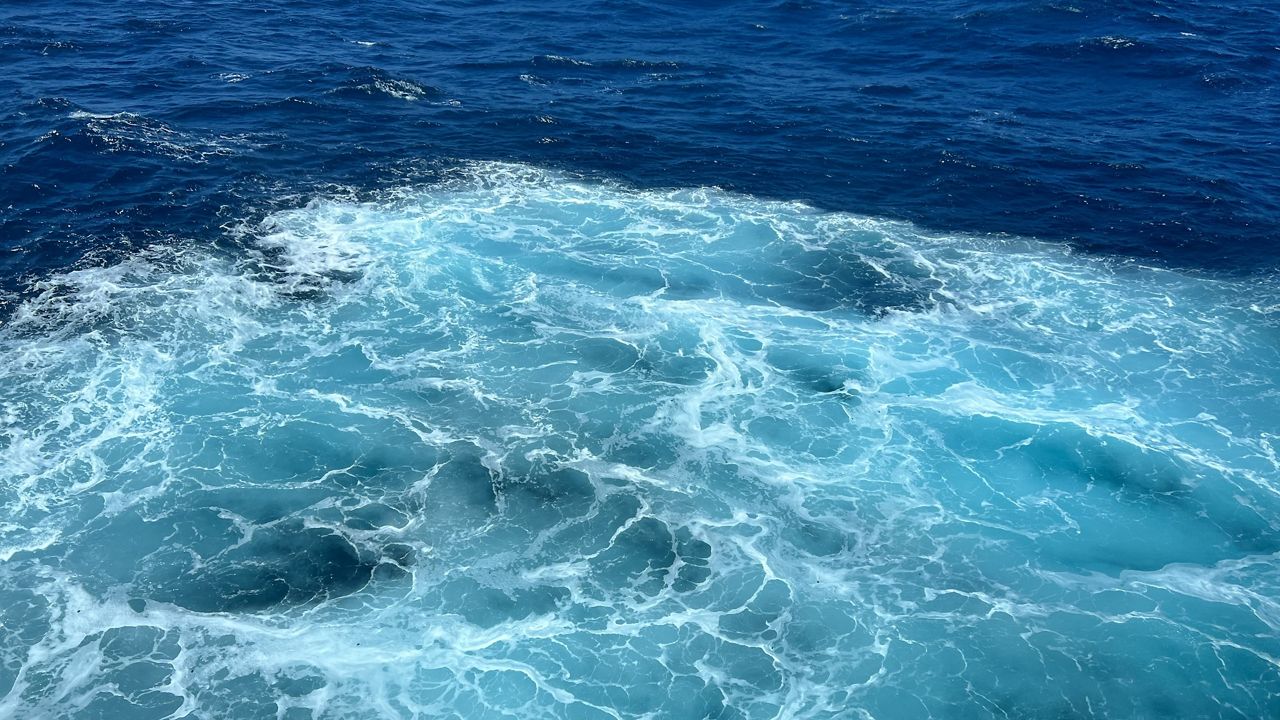 'Fuel starvation' is possible cause of plane crash